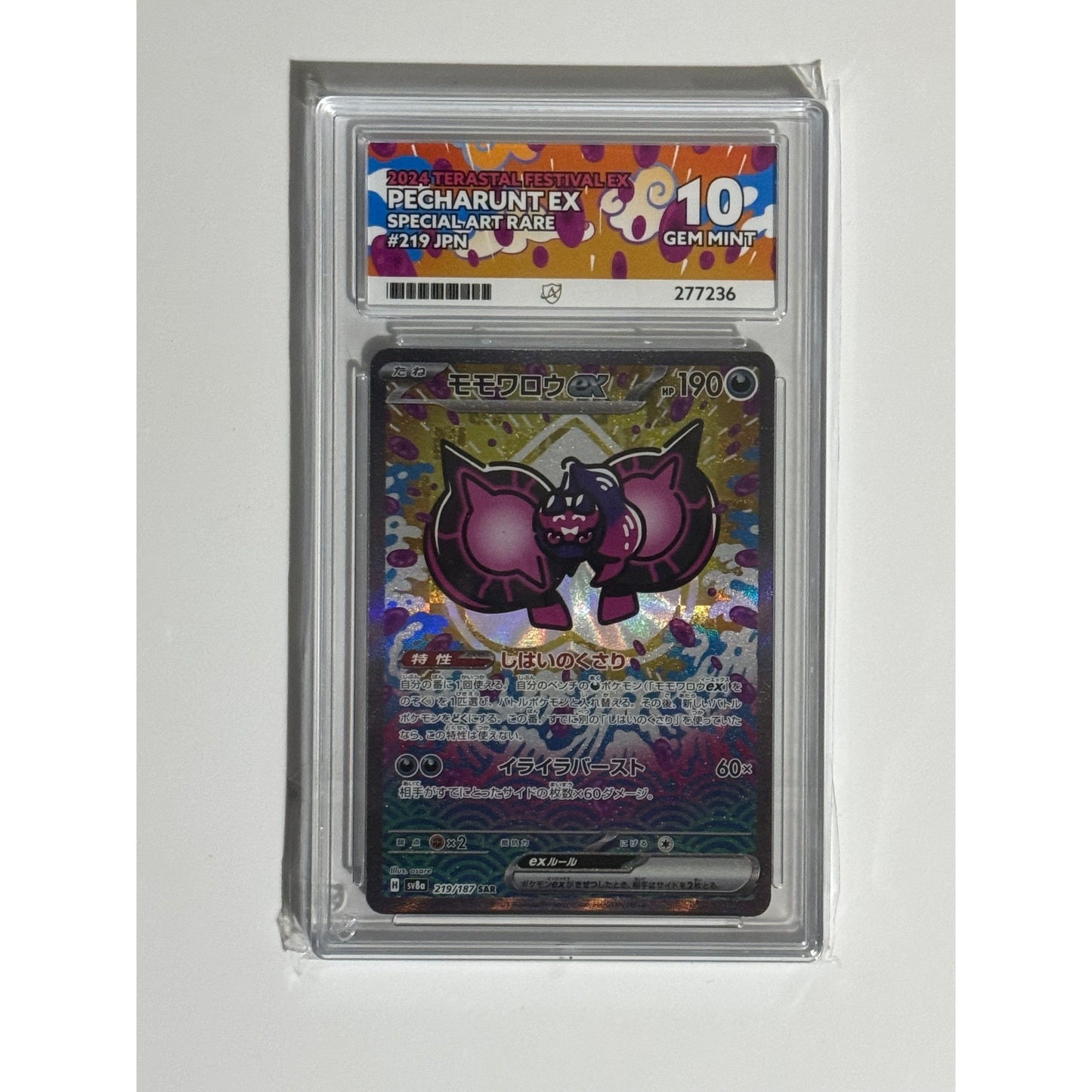 Graded Pokémon Card Slabs - Graded by Ace Grading