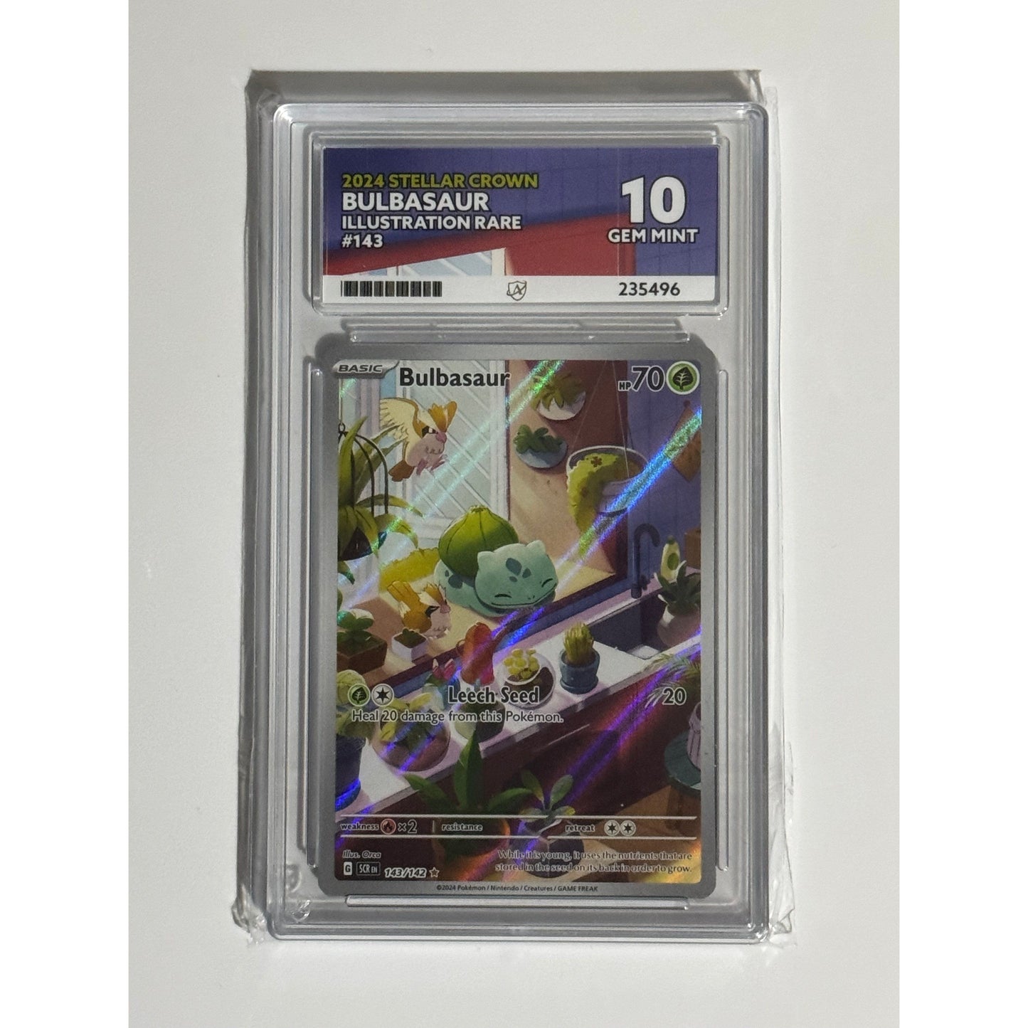 Graded Pokémon Card Slabs - Graded by Ace Grading