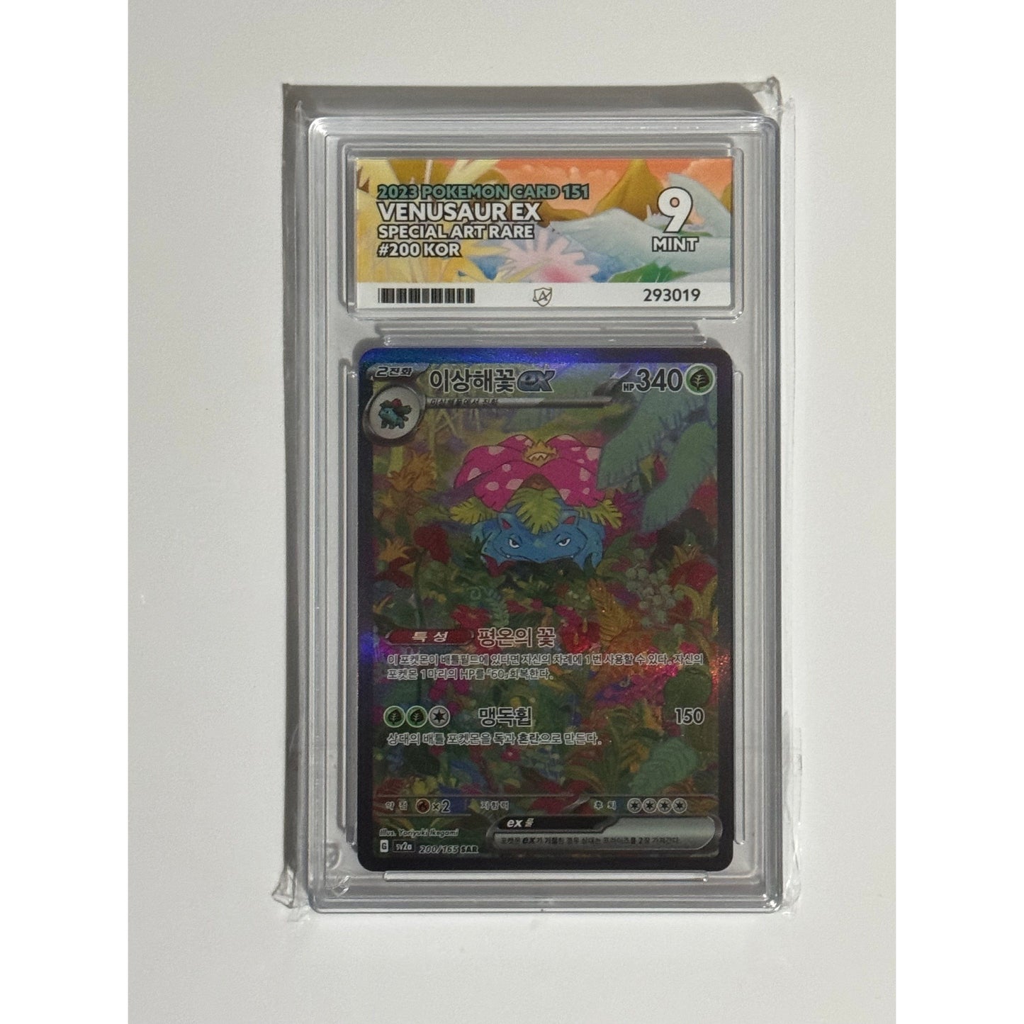 Graded Pokémon Card Slabs - Graded by Ace Grading